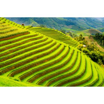 Lais Puzzle - Terrassenreisfeld in den Bergen von Mu Cang Chai, Provinz Yen Bai, Nordvietnam - 2.000 Teile