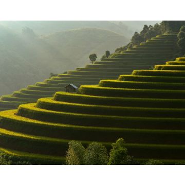 Lais Puzzle - Terrassenreisfeld von Mu Cang Chai bei Sonnenaufgang, Sonnenaufgangseffekt, Vietnam - 40, 100, 200, 500, 1.000 & 2.000 Teile