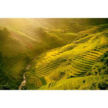 Lais Puzzle - Morgendliche Reisterrassen in der Schlucht. Vietnam Reisfeldterrassen in den Bergen in Mu Cang Chai Vietnam - 2.000 Teile