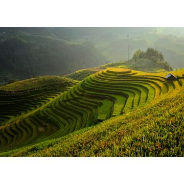 Lais Puzzle - Terrassenreisfeld bei Sonnenuntergang, Vietnam - 1.000 Teile