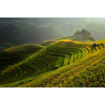 Lais Puzzle - Terrassenreisfeld bei Sonnenuntergang, Vietnam - 2.000 Teile