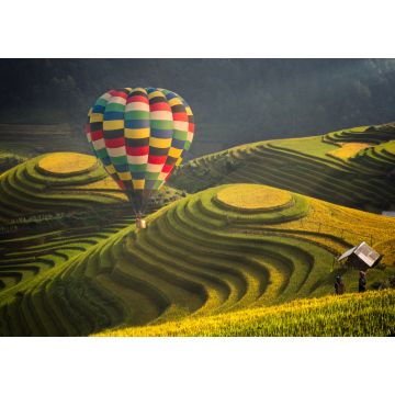 Lais Puzzle - Heißluftballon über einem Reisfeld in Mu cang chai, Vietnam - 1.000 Teile