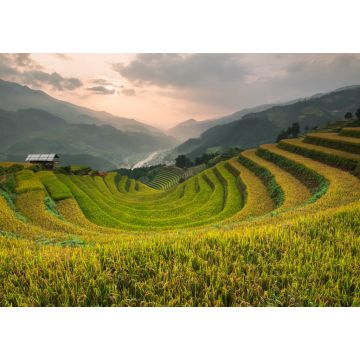 Lais Puzzle - Schöne Landschaft Reisfelder auf Terrassen von Mu Cang Chai - 1.000 Teile