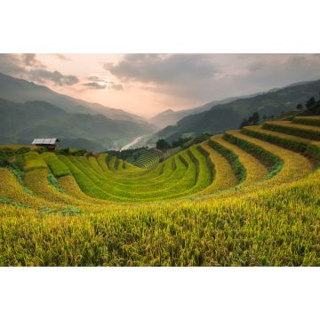 Lais Puzzle - Schöne Landschaft Reisfelder auf Terrassen von Mu Cang Chai - 2.000 Teile