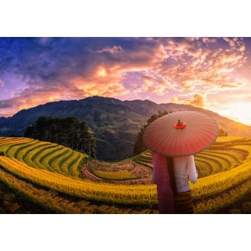 Lais Puzzle - Frau mit traditionellem roten Regenschirm auf terrassierten Reisfeldern mit Pinien bei Sonnenuntergang in Mu Cang Chai, YenBai, Vietnam - 1.000 Teile