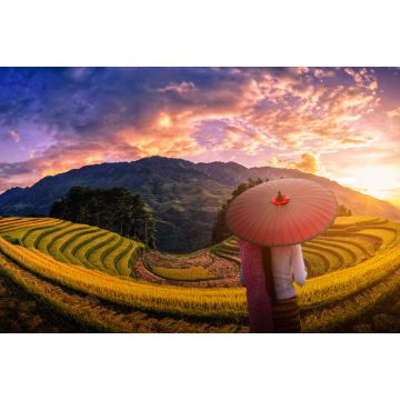 Lais Puzzle - Frau mit traditionellem roten Regenschirm auf terrassierten Reisfeldern mit Pinien bei Sonnenuntergang in Mu Cang Chai, YenBai, Vietnam - 2.000 Teile