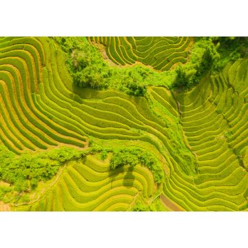 Lais Puzzle - Luftaufnahme der Reisterrassen, grüne landwirtschaftliche Felder auf dem Land oder in der ländlichen Gegend von Mu Cang Chai, Yen Bai, Berghügel Tal bei Sonnenuntergang in Asien, Vietnam - 1.000 Teile