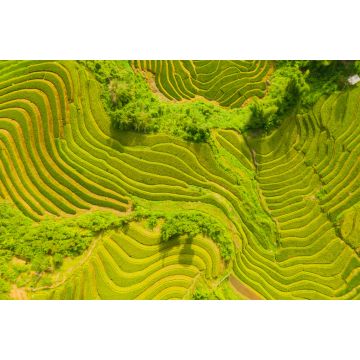 Lais Puzzle - Luftaufnahme der Reisterrassen, grüne landwirtschaftliche Felder auf dem Land oder in der ländlichen Gegend von Mu Cang Chai, Yen Bai, Berghügel Tal bei Sonnenuntergang in Asien, Vietnam - 2.000 Teile