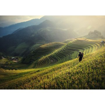 Lais Puzzle - Reisfelder auf den Terrassen von Mu Cang Chai, YenBai, Reisfelder bereiten die Ernte im Nordwesten Vietnams vor - 1.000 Teile