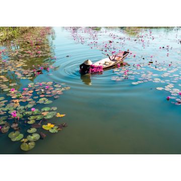 Lais Puzzle - Yen-Fluss mit Ruderboot bei der Seerosenernte in Ninh Binh, Vietnam - 1.000 Teile