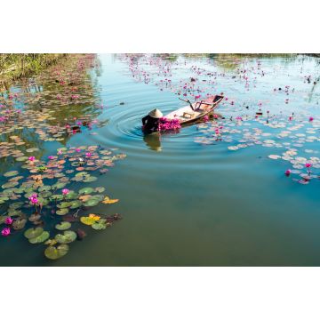 Lais Puzzle - Yen-Fluss mit Ruderboot bei der Seerosenernte in Ninh Binh, Vietnam - 2.000 Teile