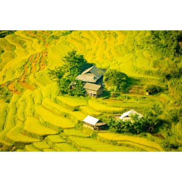 Lais Puzzle - Schöne Landschaft mit Reisterrassen in Hoang Su Phi, Provinz Ha Giang in Vietnam. Reifende Reisfelder im Hochland im Nordwesten - 2.000 Teile