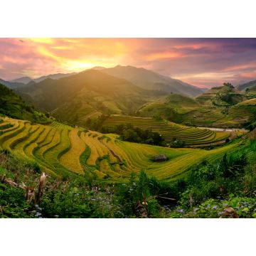 Lais Puzzle - Mu Cang Chai, terrassenförmig angelegtes Reisfeld in der Nähe von Sapa, Nordvietnam - 1.000 Teile