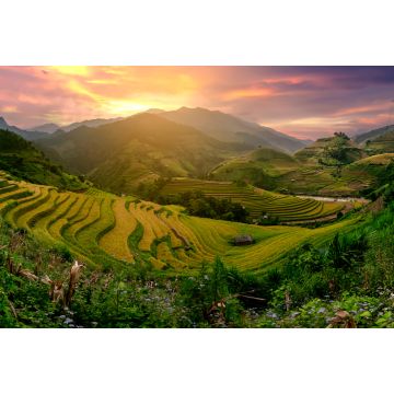 Lais Puzzle - Mu Cang Chai, terrassenförmig angelegtes Reisfeld in der Nähe von Sapa, Nordvietnam - 2.000 Teile
