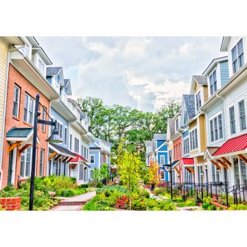 Lais Puzzle - Reihe von bunten, rot, gelb, blau, weiß, grün gestrichenen Wohnhäusern, Häusern, Häusern mit gemauerten Terrassengärten im Sommer, Washington D.C. - 1.000 Teile