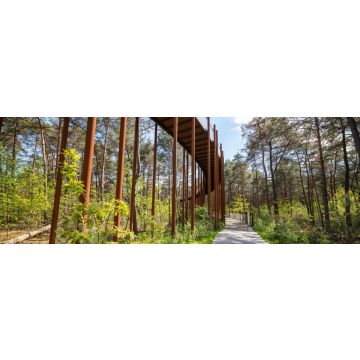 Lais Puzzle - Fahrrad in den Bäumen in Lommel Belgien Flandern, Panorama - 1.000 Teile