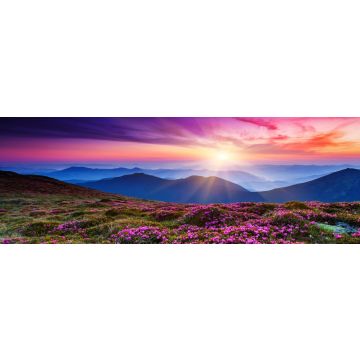 Lais Puzzle - Blumen, Panorama - 1.000 Teile