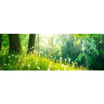 Lais Puzzle - Frühling Natur. Schöne Landschaft. Grünes Gras und Bäume, Panorama - 1.000 Teile