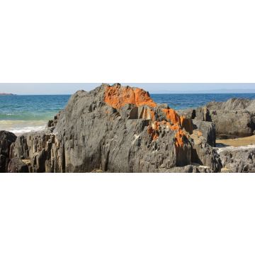 Lais Puzzle - Spiky Beach, Küste bei Swansea, Tasmanien, Australien, Panorama - 1.000 Teile