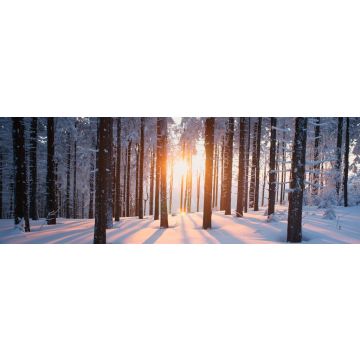 Lais Puzzle - Sonnenuntergang im Wald im Winterhalbjahr, Panorama - 1.000 Teile