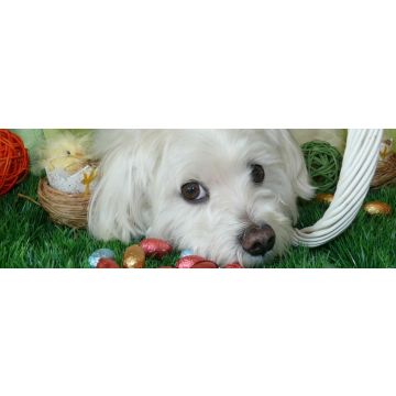 Lais Puzzle - Malteser, Panorama - 1.000 Teile