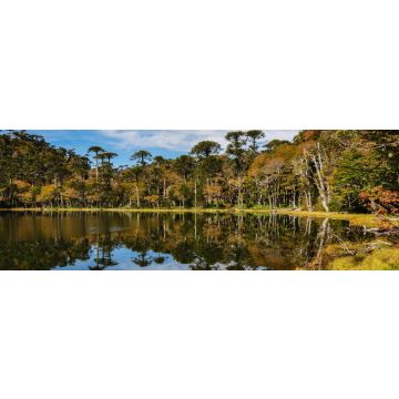 Lais Puzzle - Trekking in Reserva El Cani, in der Nähe von Pucon, Chile, Panorama - 1.000 Teile
