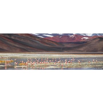 Lais Puzzle - Schwarze Lagune (Laguna Negra), Vulkan Pissis, Catamarca, Argentinien, Panorama - 1.000 Teile