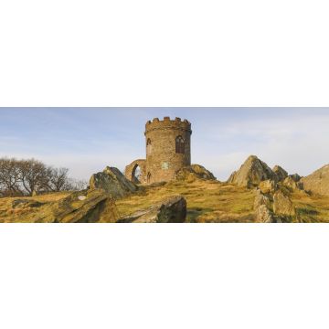 Lais Puzzle - Der alte John im Bradgate Park, England, Panorama - 1.000 Teile