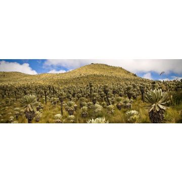 Lais Puzzle - El Angel, Carchi, Ecuador, Panorama - 1.000 Teile