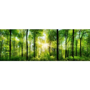 Lais Puzzle - Lichtstrahlen im Wald, Panorama - 1.000 Teile