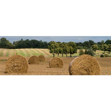 Lais Puzzle - Feld mit Strohballen - Märkische Schweiz, Panorama - 1.000 Teile