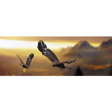 Lais Puzzle - Adler / Steinadler im Flug, Panorama - 1.000 Teile
