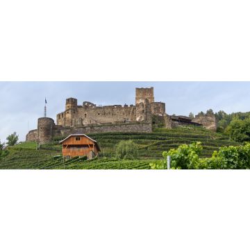 Lais Puzzle - Burgruine Glanegg in Kärnten, Panorama - 1.000 Teile
