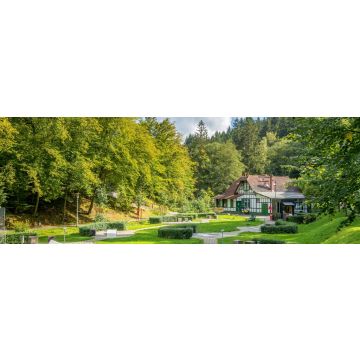 Lais Puzzle - Bad Schwalbach, Kurpark, Panorama - 1.000 Teile