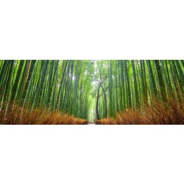 Lais Puzzle - Pfad zum Bambuswald, Arashiyama, Kyoto, Japan, Panorama - 1.000 Teile