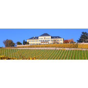 Lais Puzzle - Schloss Johannisberg im Rheingau, Panorama - 1.000 Teile