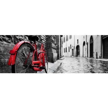Lais Puzzle - Retro Vintage rotes Fahrrad auf Kopfsteinpflaster Straße in der Altstadt. Farbe in schwarz-weiß, Panorama - 1.000 Teile
