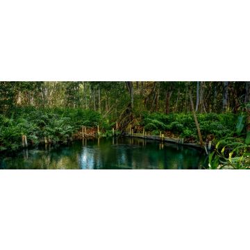 Lais Puzzle - Mangrovenwald am Ria Celestun See, Mexiko, Panorama - 1.000 Teile