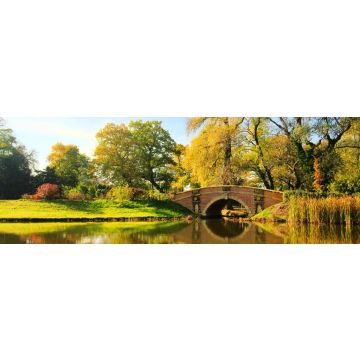 Lais Puzzle - Blick auf den Wörlitzer Park, Land Sachsen-Anhalt, Deutschland, Panorama - 1.000 Teile