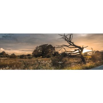 Lais Puzzle - Sommerabend in der Nähe von Kilsyth, North Lanarkshire, Panorama - 1.000 Teile