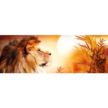 Lais Puzzle - Löwe im Sonnenuntergang, Panorama - 1.000 Teile