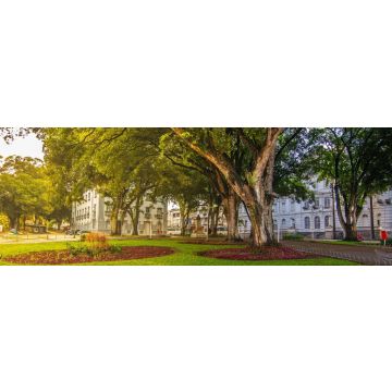Lais Puzzle - Zentrum João Pessoa 5 - Paraíba, Brasilien, Panorama - 1.000 Teile