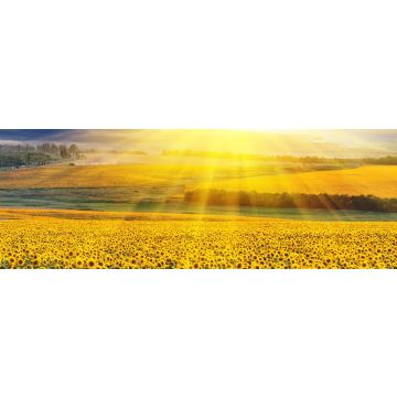 Lais Puzzle - Sonnenuntergang über dem Feld, Panorama - 1.000 Teile