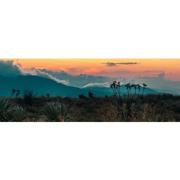 Lais Puzzle - Frailejones Krieger der Zeit im Land der Wolken, Kolumbien, Panorama - 1.000 Teile