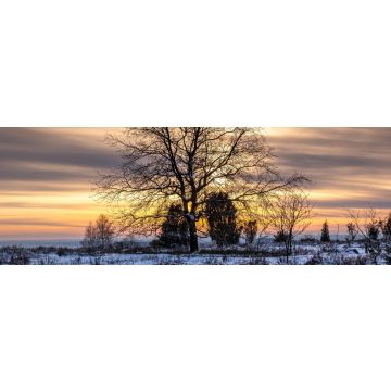 Lais Puzzle - Blick auf den Naturpark Lüneburg, Lüneburg, Niedersachsen, Deutschland, Panorama - 1.000 Teile