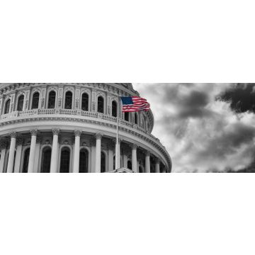 Lais Puzzle - US Flagge vor Kapitol in schwarz weiß, Washington D.C, USA, Panorama - 1.000 Teile