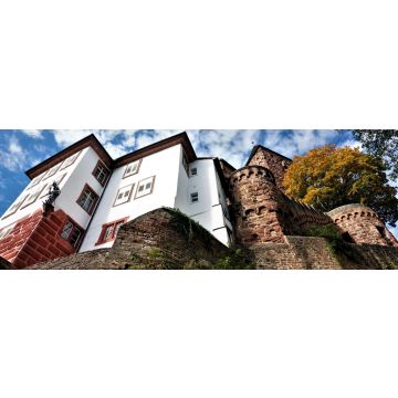 Lais Puzzle - Wormser Blick auf die Burg Zwingenberg in Baden Württemberg, Panorama - 1.000 Teile