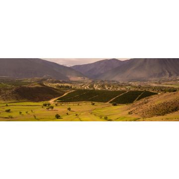Lais Puzzle - Kakteen, Berge und Täler in der Nähe der Stadt Vicuña Vicuna. Elqui-Tal in Chile, Panorama - 1.000 Teile