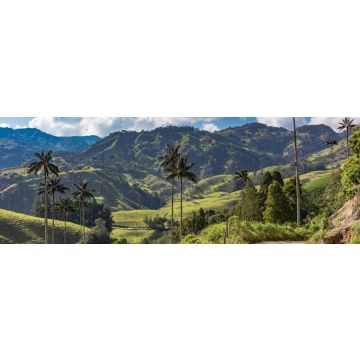 Lais Puzzle - Bosque De Palma De Cera La Samaria bei San Felix in der Nähe von Salamina Caldas in Kolumbien, Panorama - 1.000 Teile