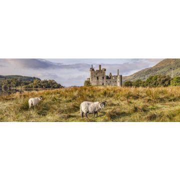 Lais Puzzle - Schottische Blackface-Rammen auf Kilchurn Castle, Argyll und Bute, Schottland, Panorama - 1.000 Teile